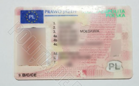 FOTO // S-au pornit în Germania cu acte false. Doi tineri consăteni, documentați de poliția de frontieră
